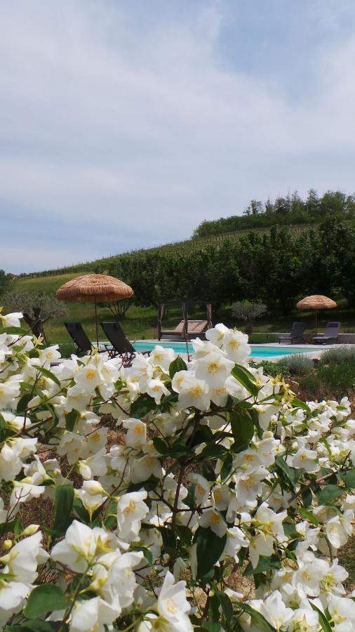 Sotto La Vigna Charm Stay Adults Only Vacation Suite Montegrosso dʼAsti Extérieur photo